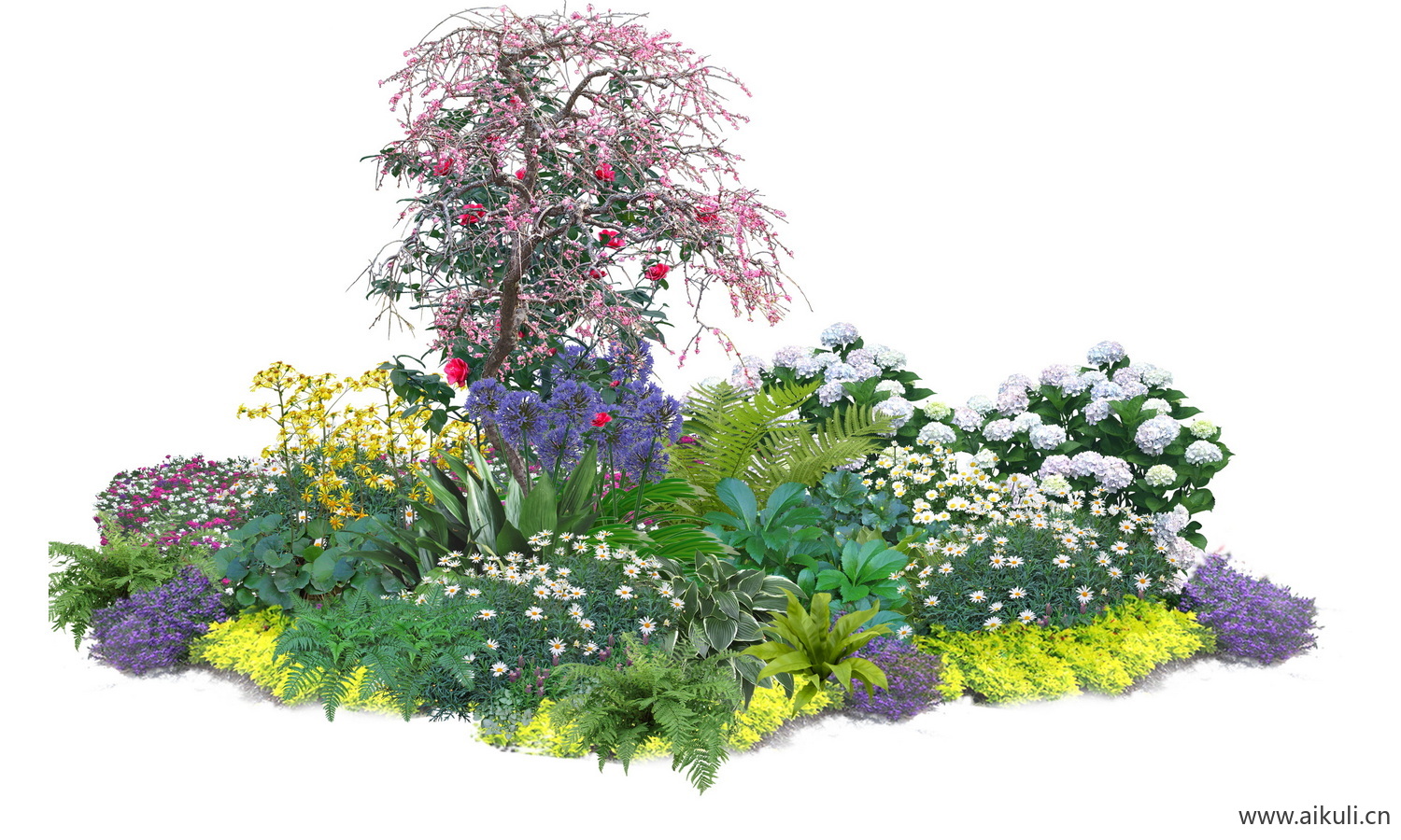 PSD现代花境植物组团