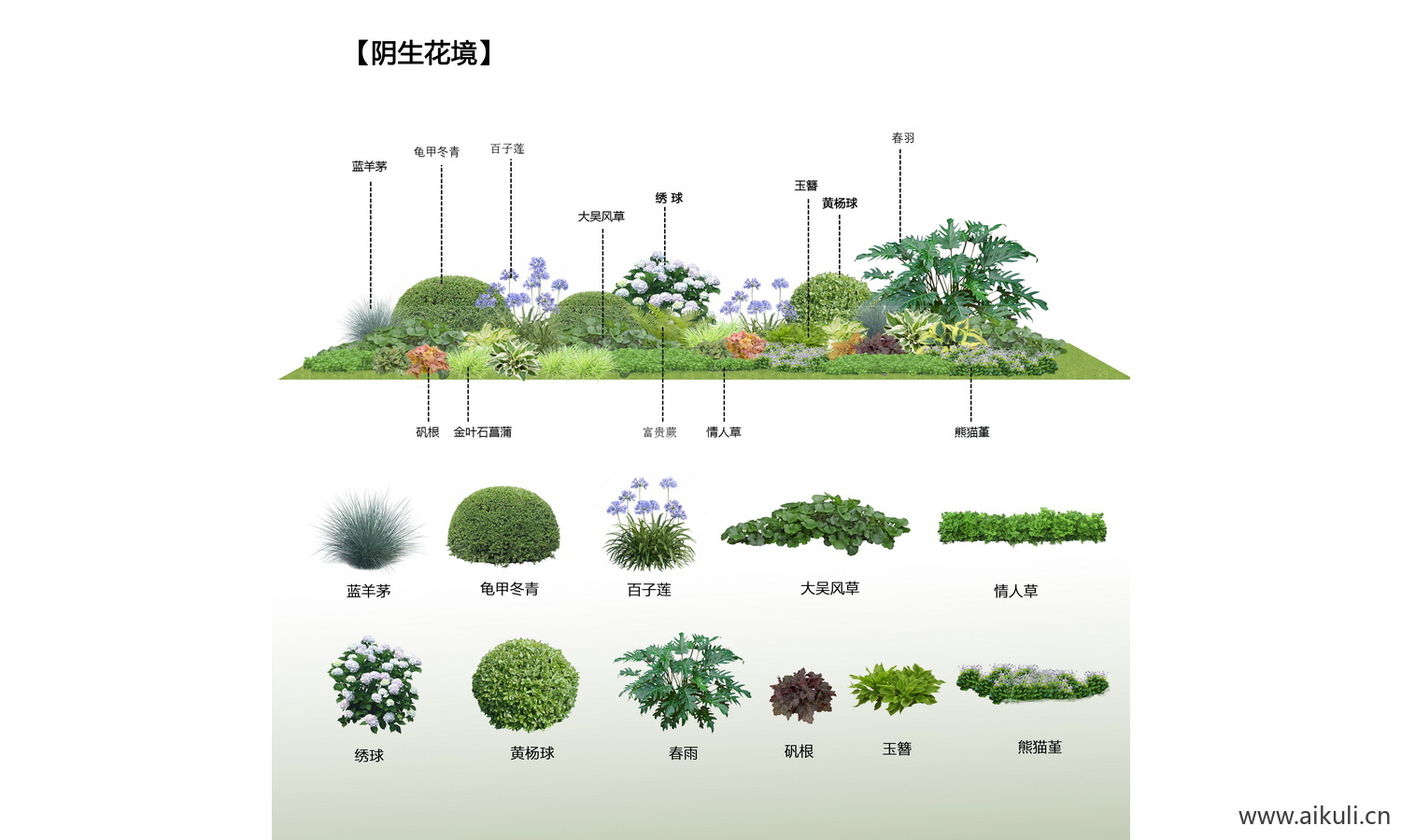 psd花境花卉组团