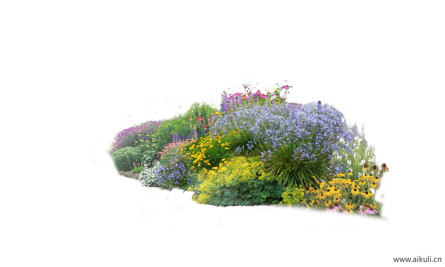 花境组合psd现代花境植物组团