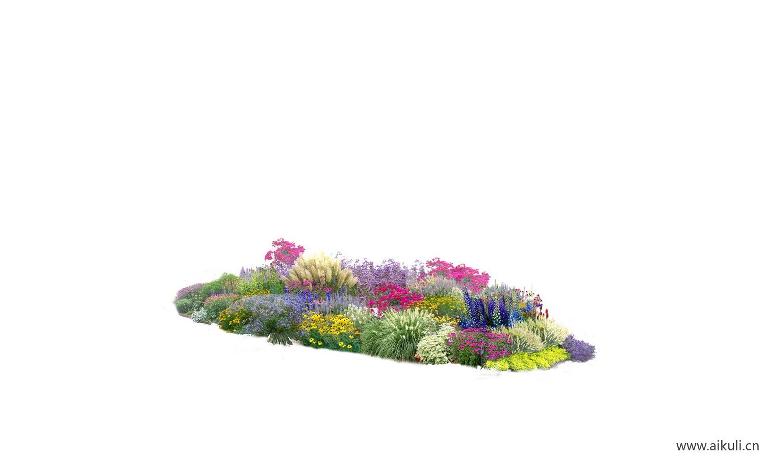 花境PS现代花境植物