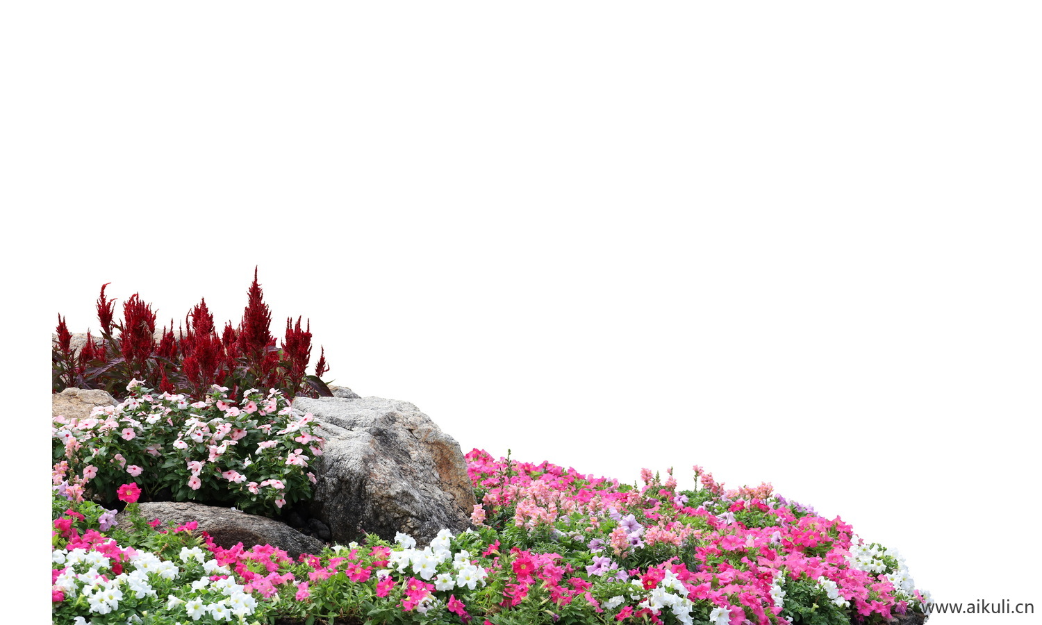 花境组合11
