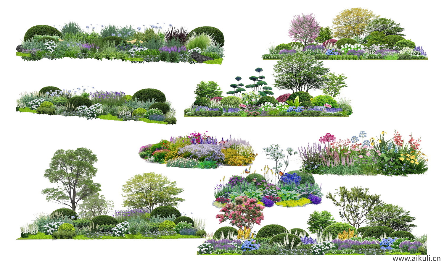 现代花草_免抠图_植物组团_花镜