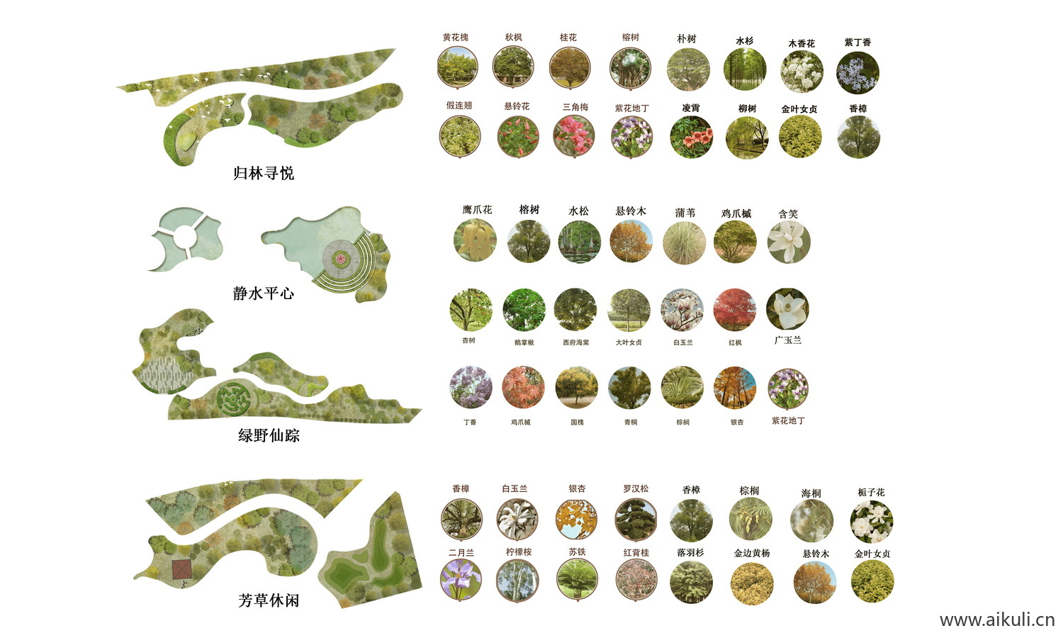 园艺疗法植物配置康养疗愈治愈分析图PSD素材