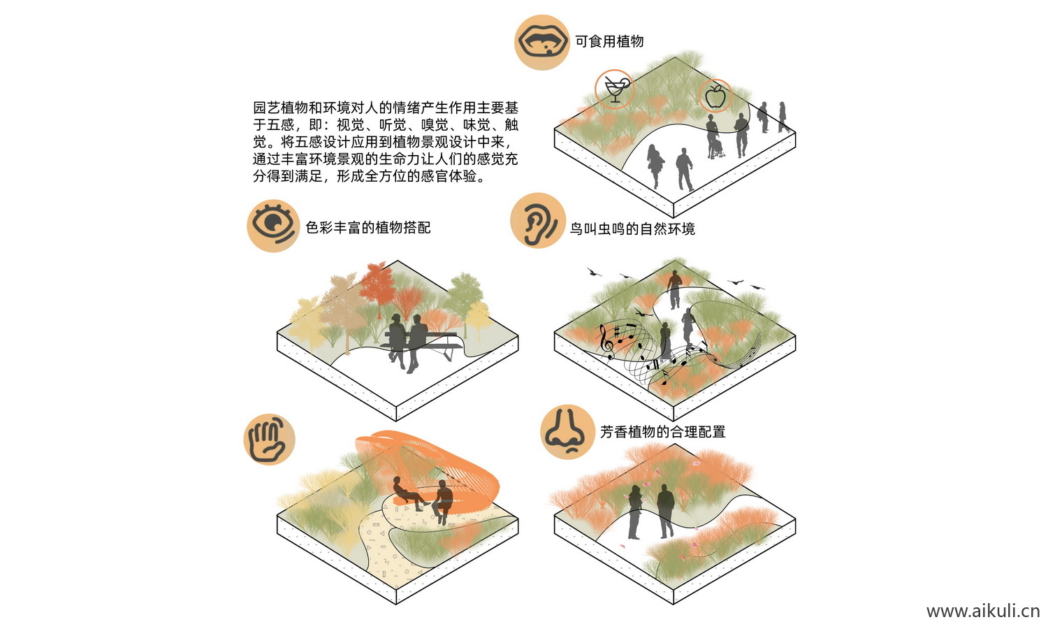 植物配置康养疗愈-治愈分析图PSD素材