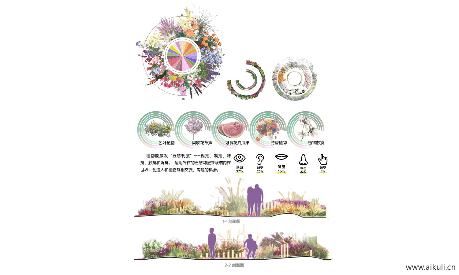 PSD素材植物配置康养疗愈治愈分析