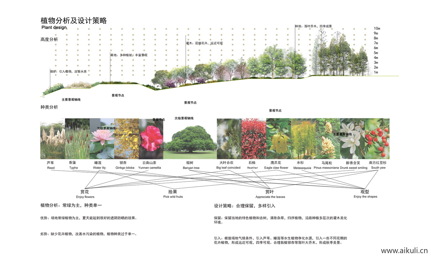 植物配置分析图psd