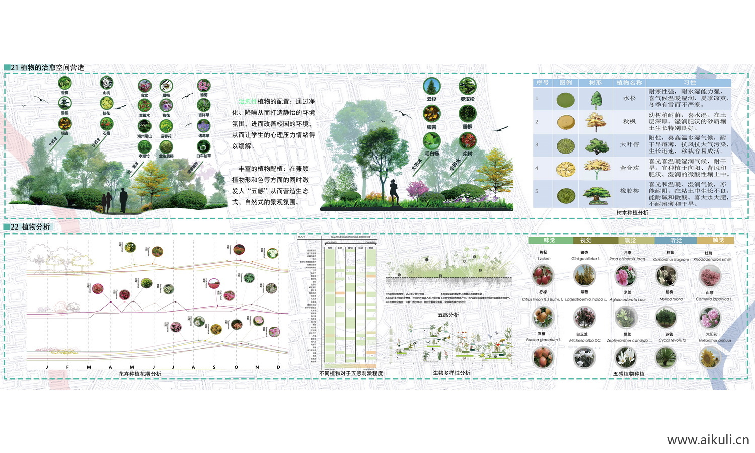 植物配置康养疗愈治愈分析图PSD素材-康养植物无感分析