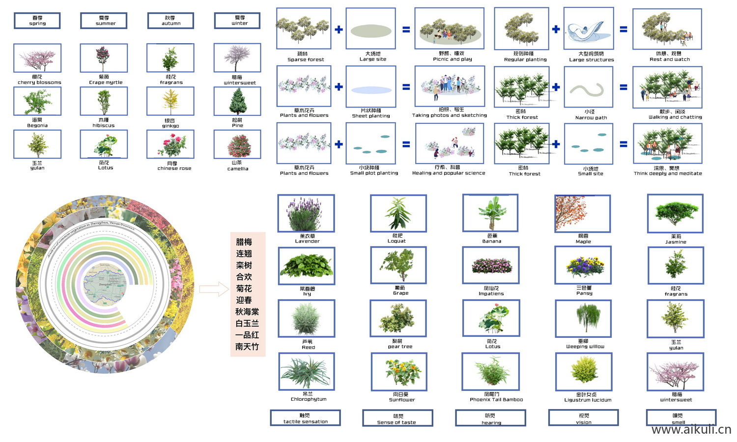 植物配置分析图PS康养植物无感分析