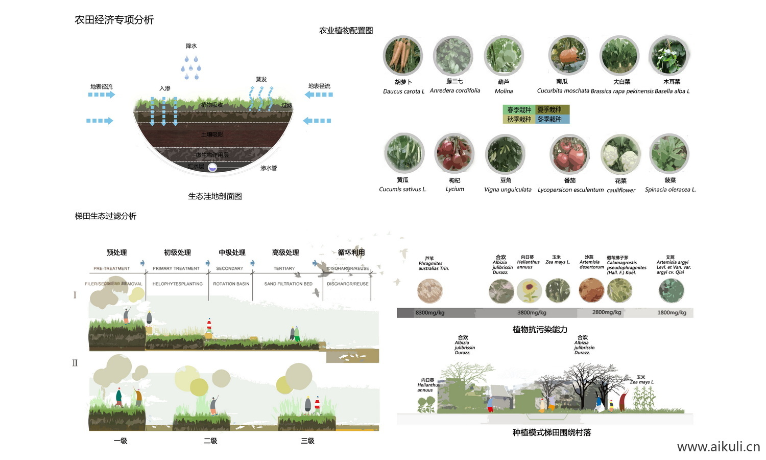 植物配置康养疗愈治愈分析图PS素材