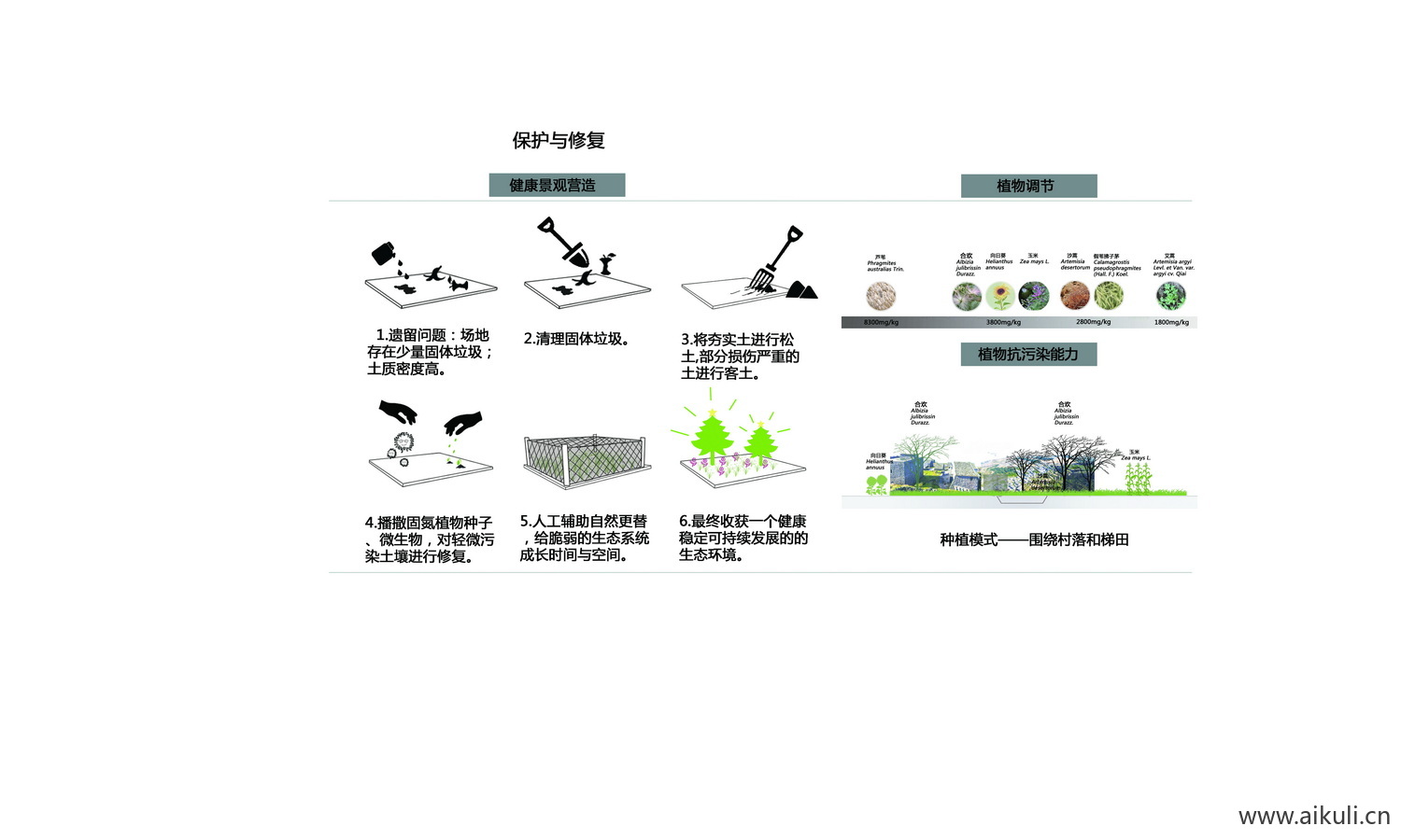 花园种植分析康养疗愈治愈分析图PSD素材