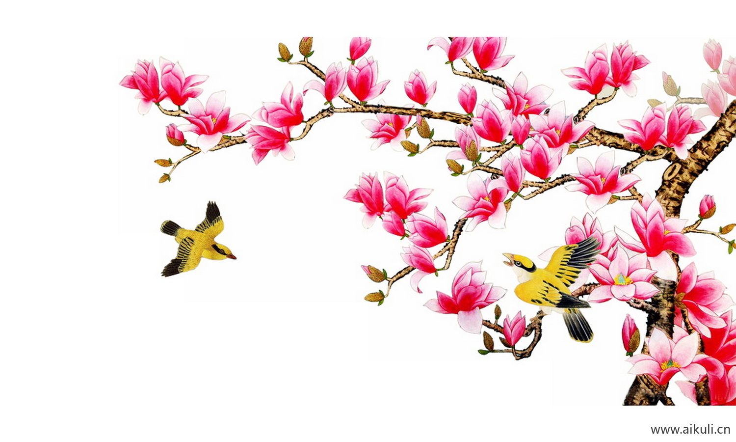 工笔画免抠图素材 (70)