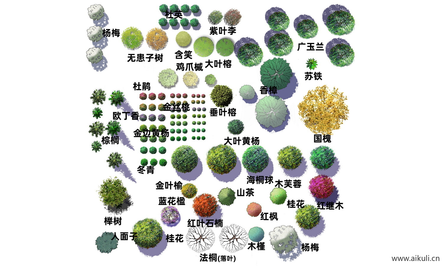 树平面PSD免抠