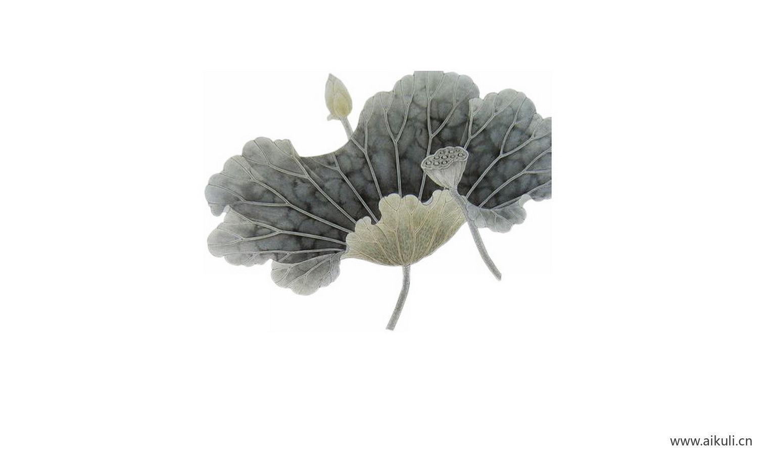 古风拼贴工笔画花鸟PNG图片_03