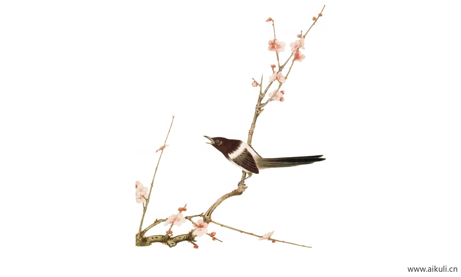工笔画免抠图素材 (4)