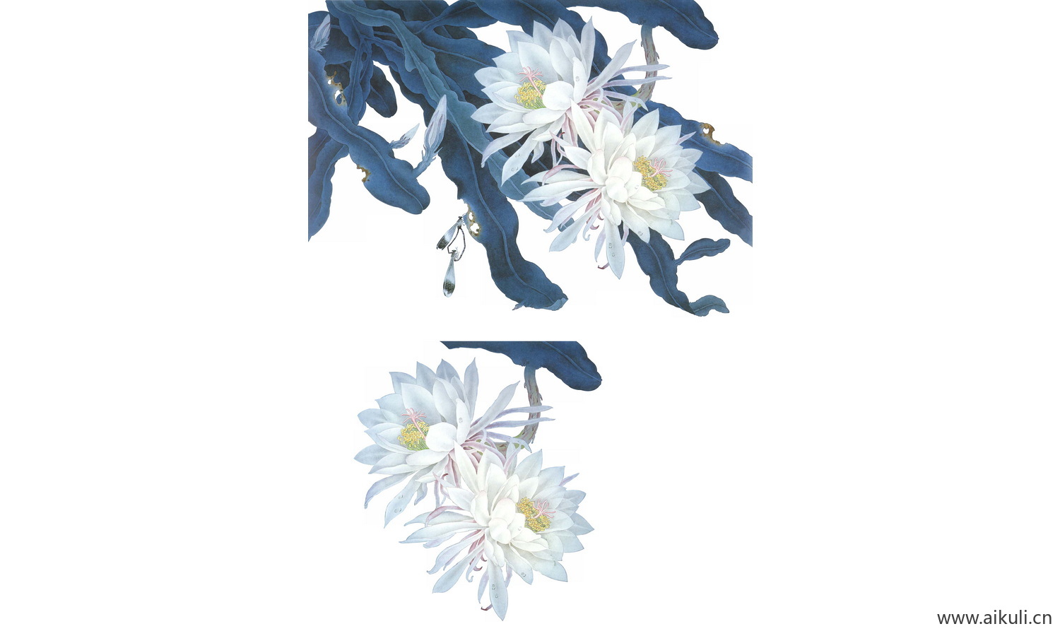 工笔画免抠图素材 (15)