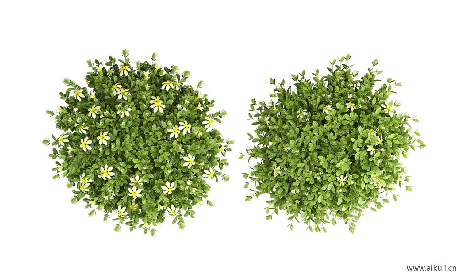 平面盆栽彩平图 平面植物PSD素材