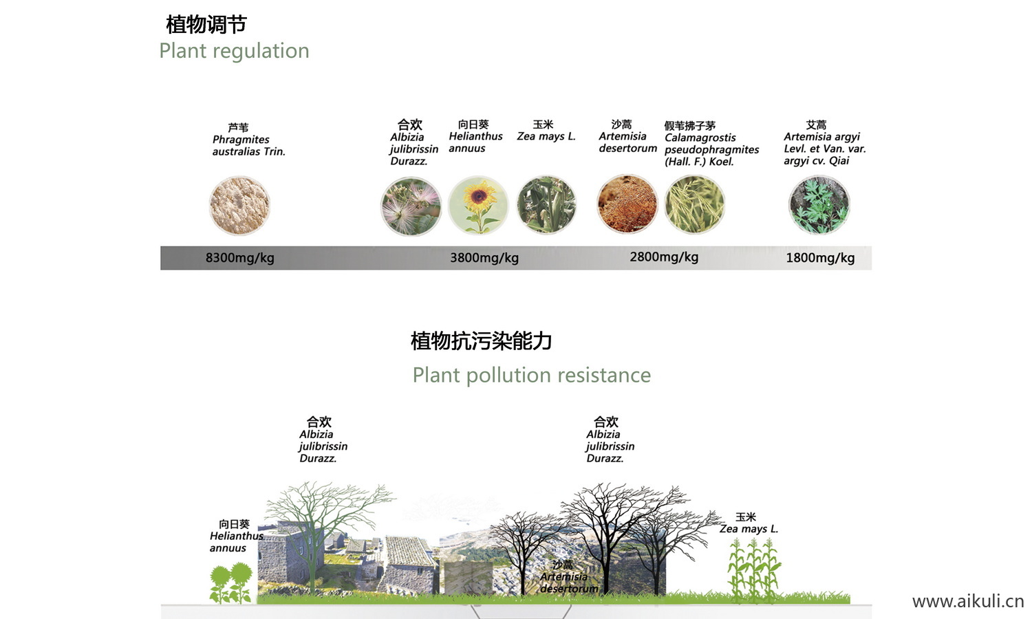 景观植物生态调节分析图