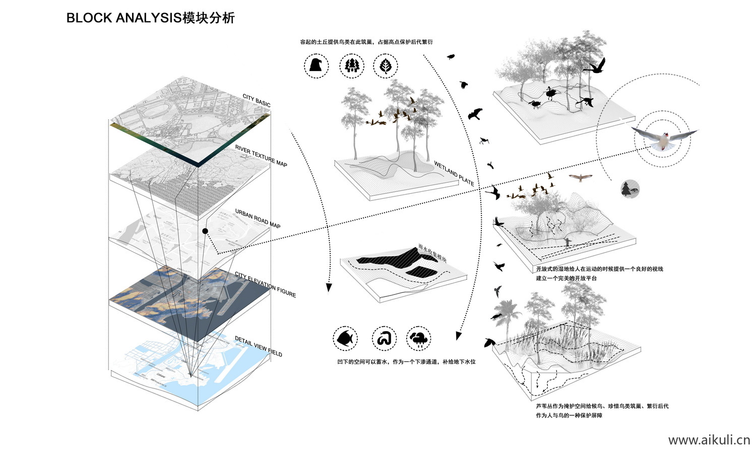 新前期分析图PSD素材
