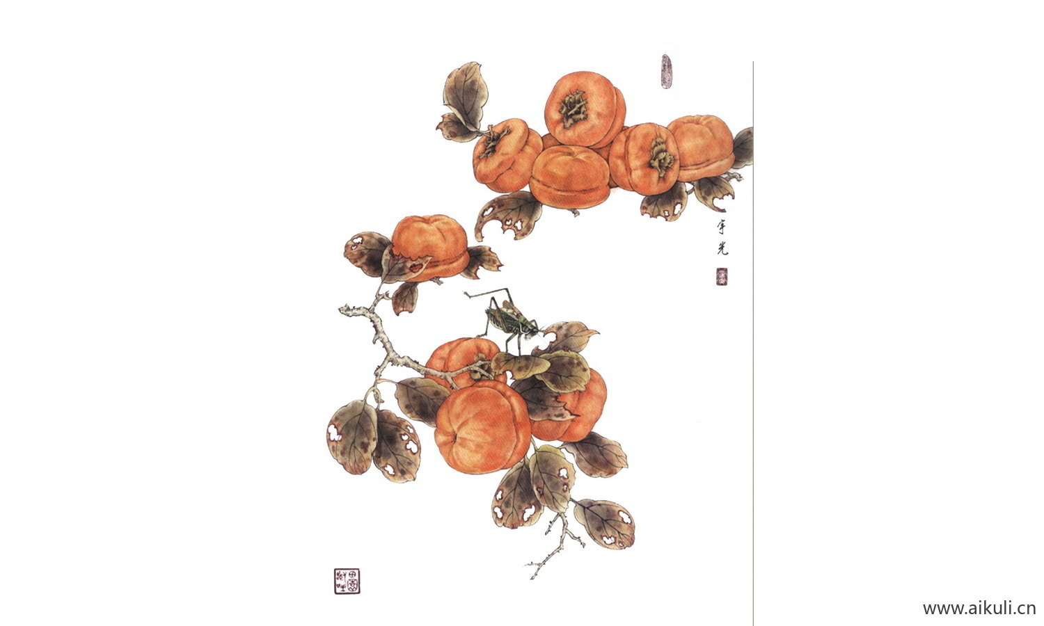 工笔画免抠图素材 (52)