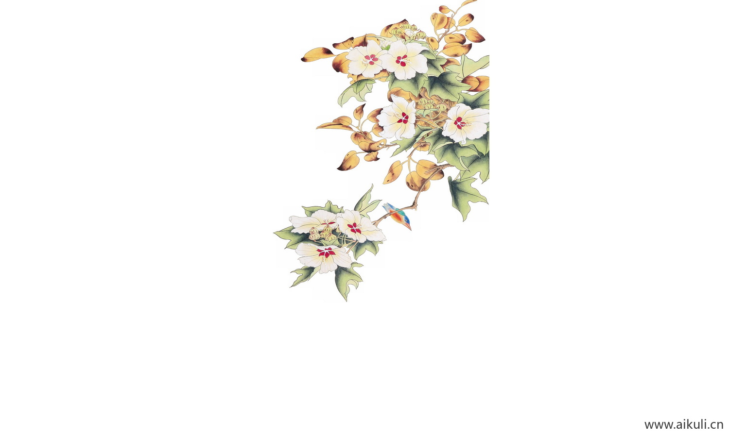 工笔画免抠图素材 (1)
