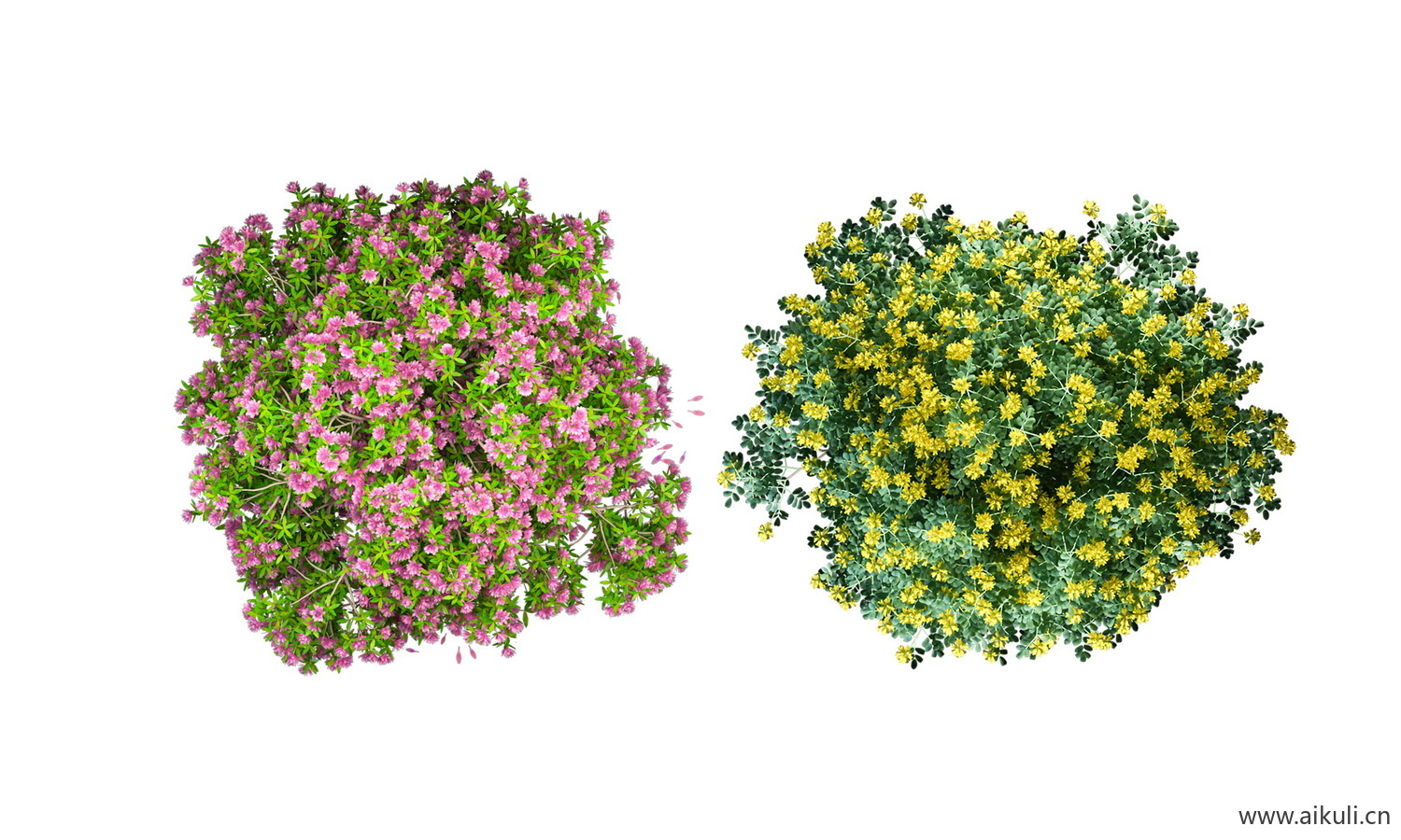 平面盆栽花朵彩平图 平面植物PSD素材