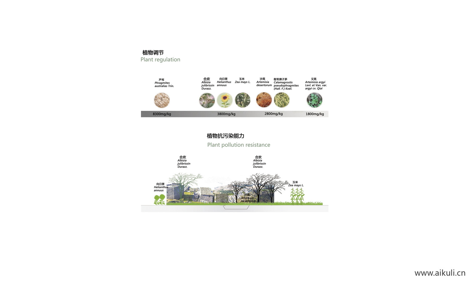 景观植物生态调节分析图