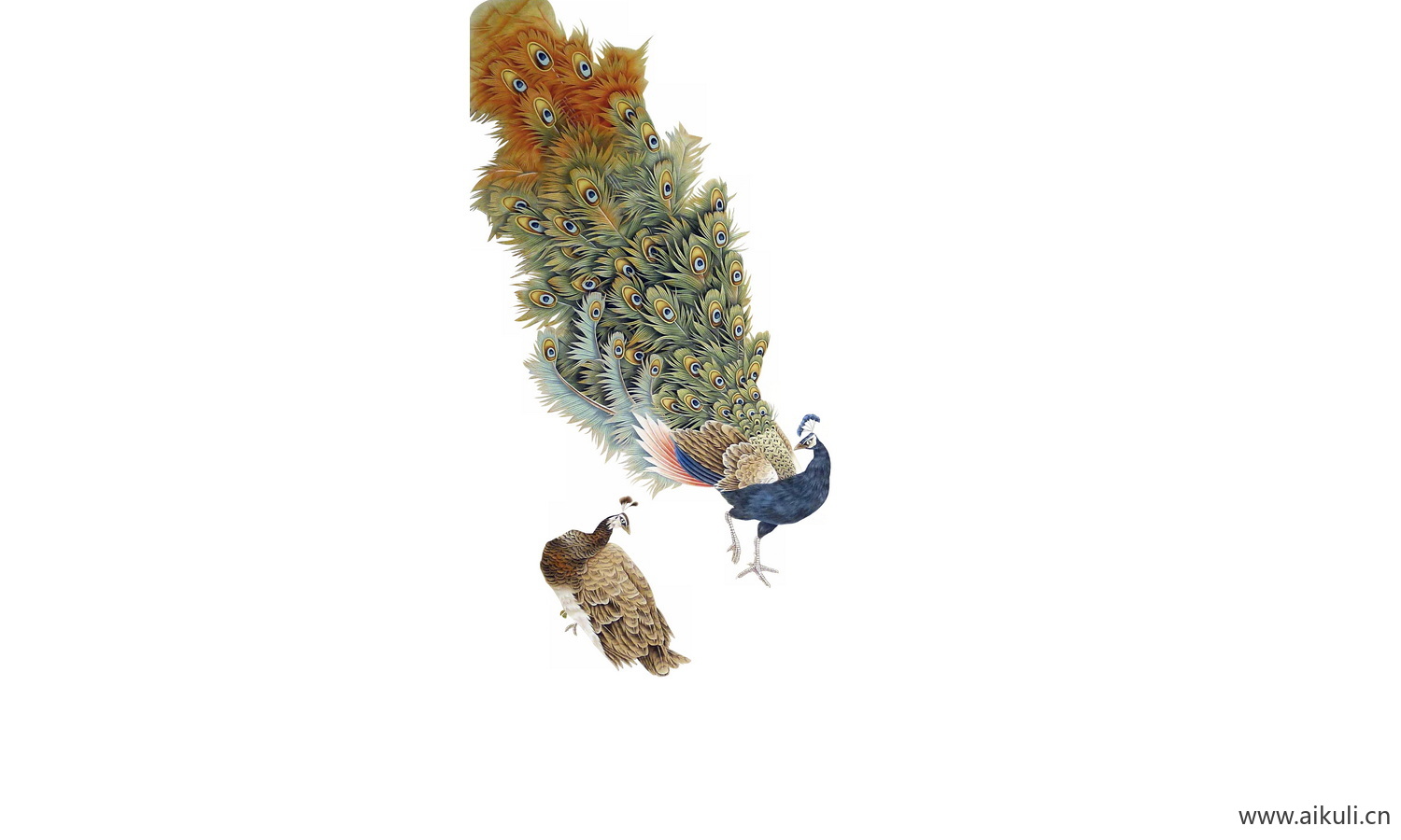 工笔画免抠图素材 (16)