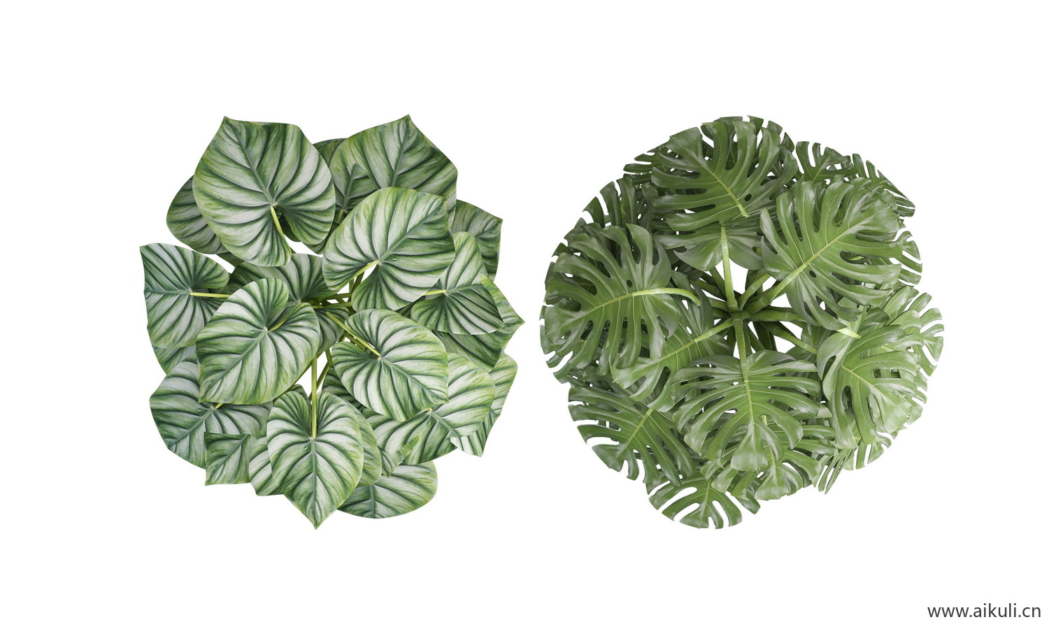 平面盆栽平面植物PSD素材