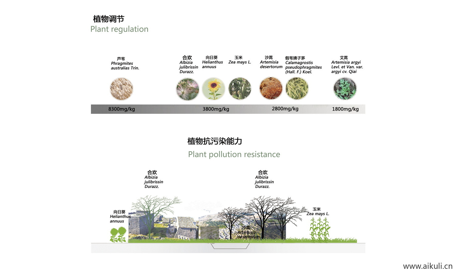 景观植物生态调节分析图