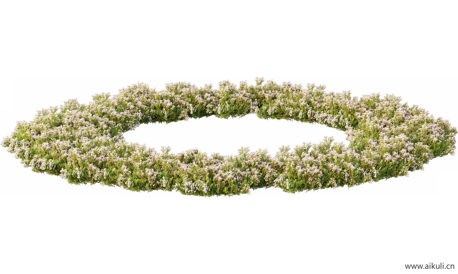 圆形花池魔纹花坛绿篱花境镜植物花卉png免抠_03