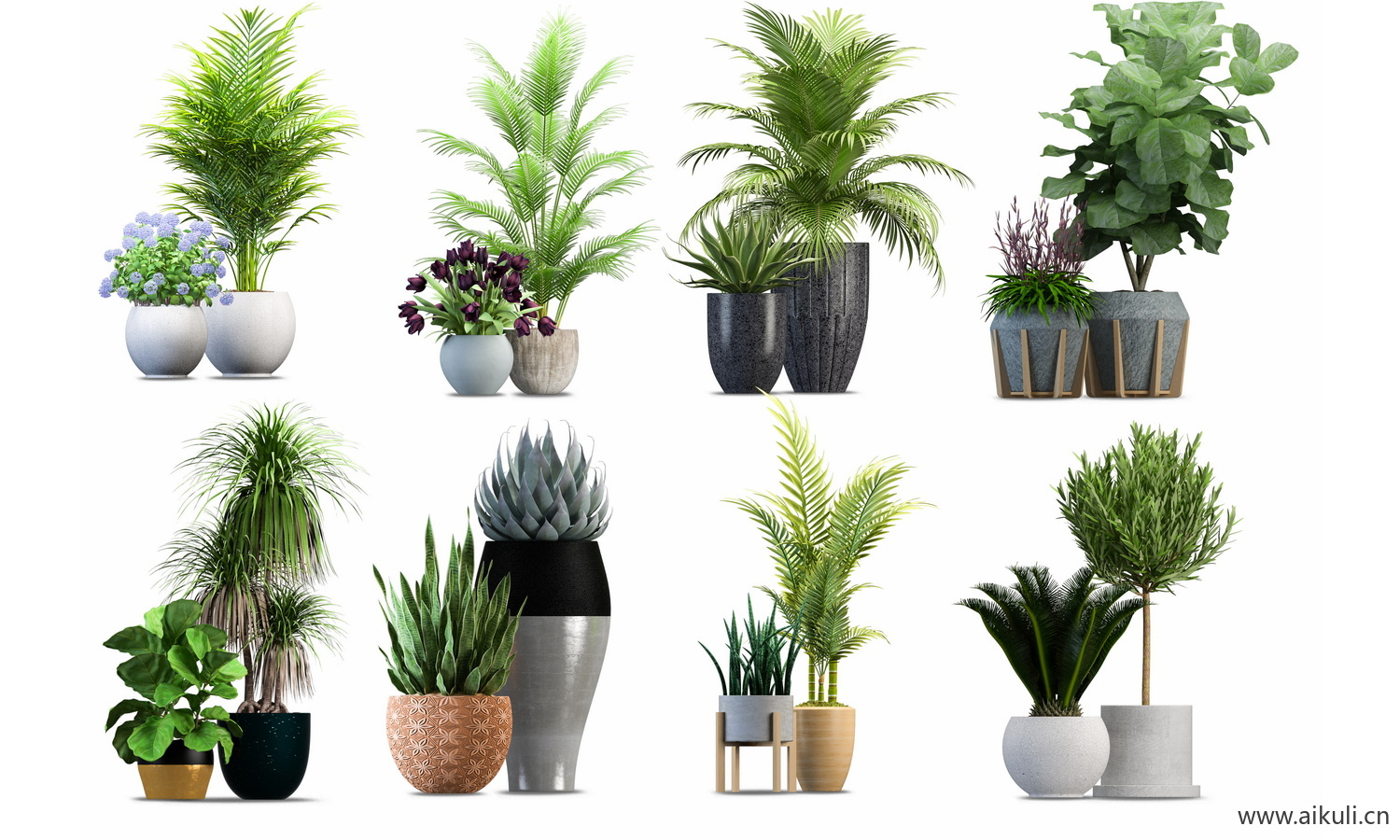 室内盆栽绿植花盆植物组合ps素材