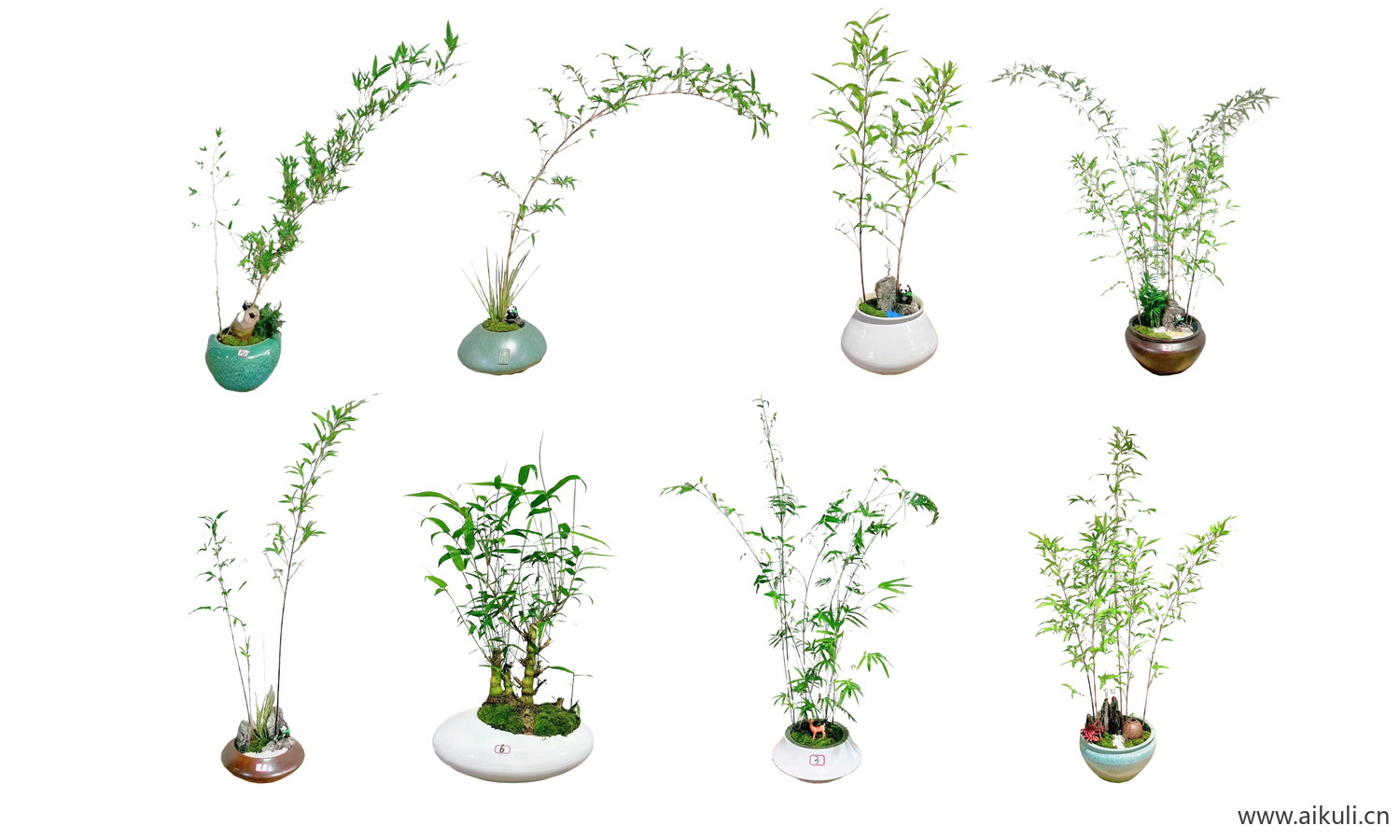室内绿植花瓶摆件植物花卉PSD免扣