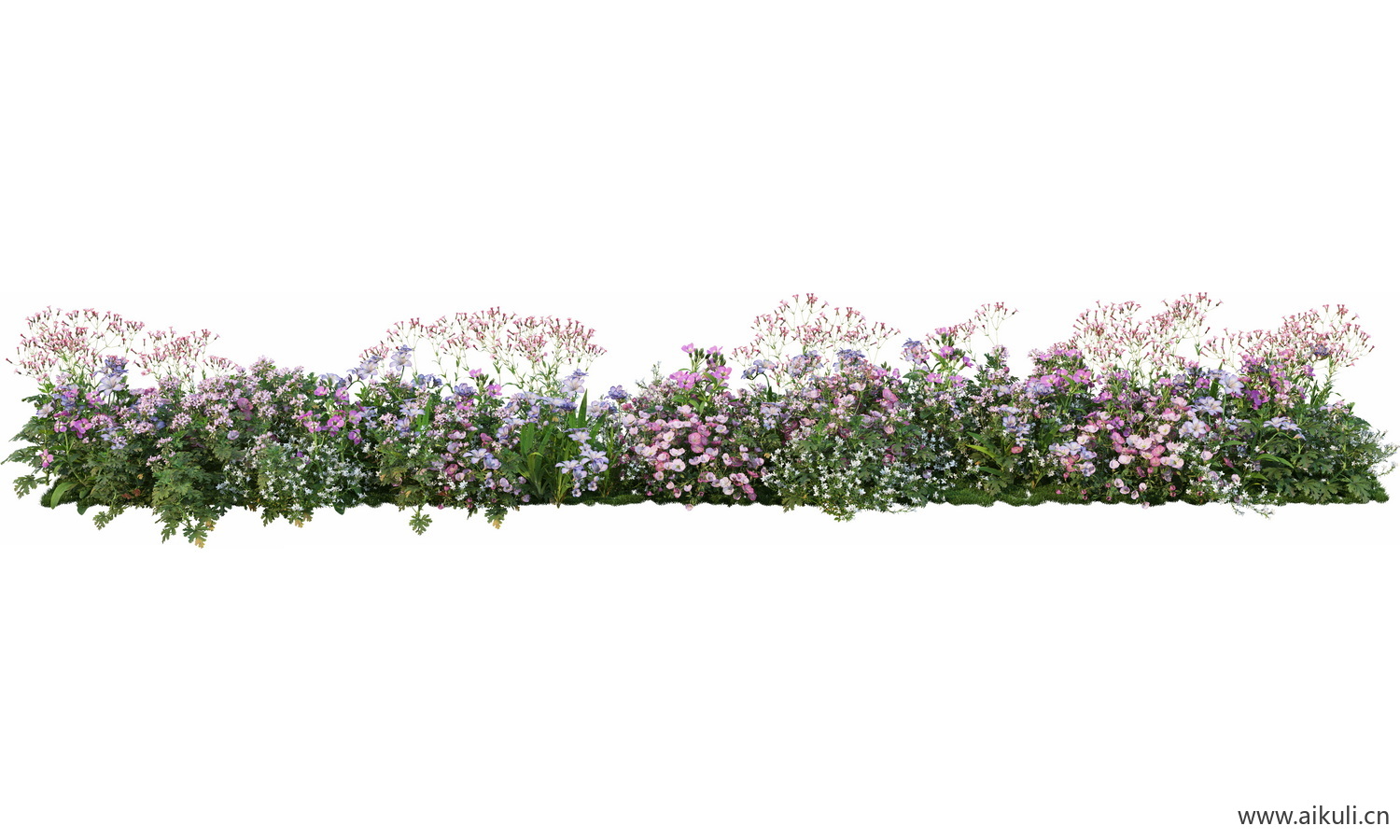 一字条形形花池魔纹花坛绿篱花境镜植物花卉png免抠