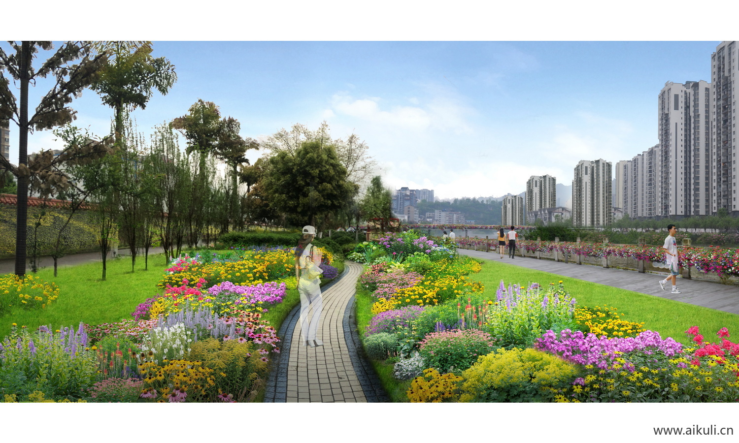 城市街景改造-中央分车带花卉种植