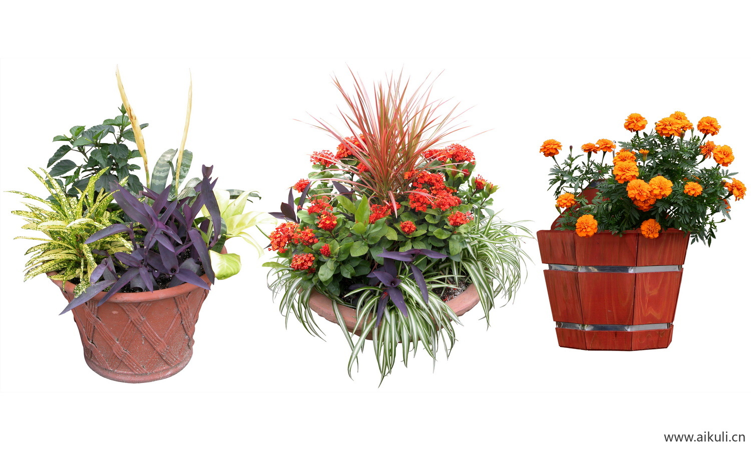 PSD免抠花坛地坡花卉植物