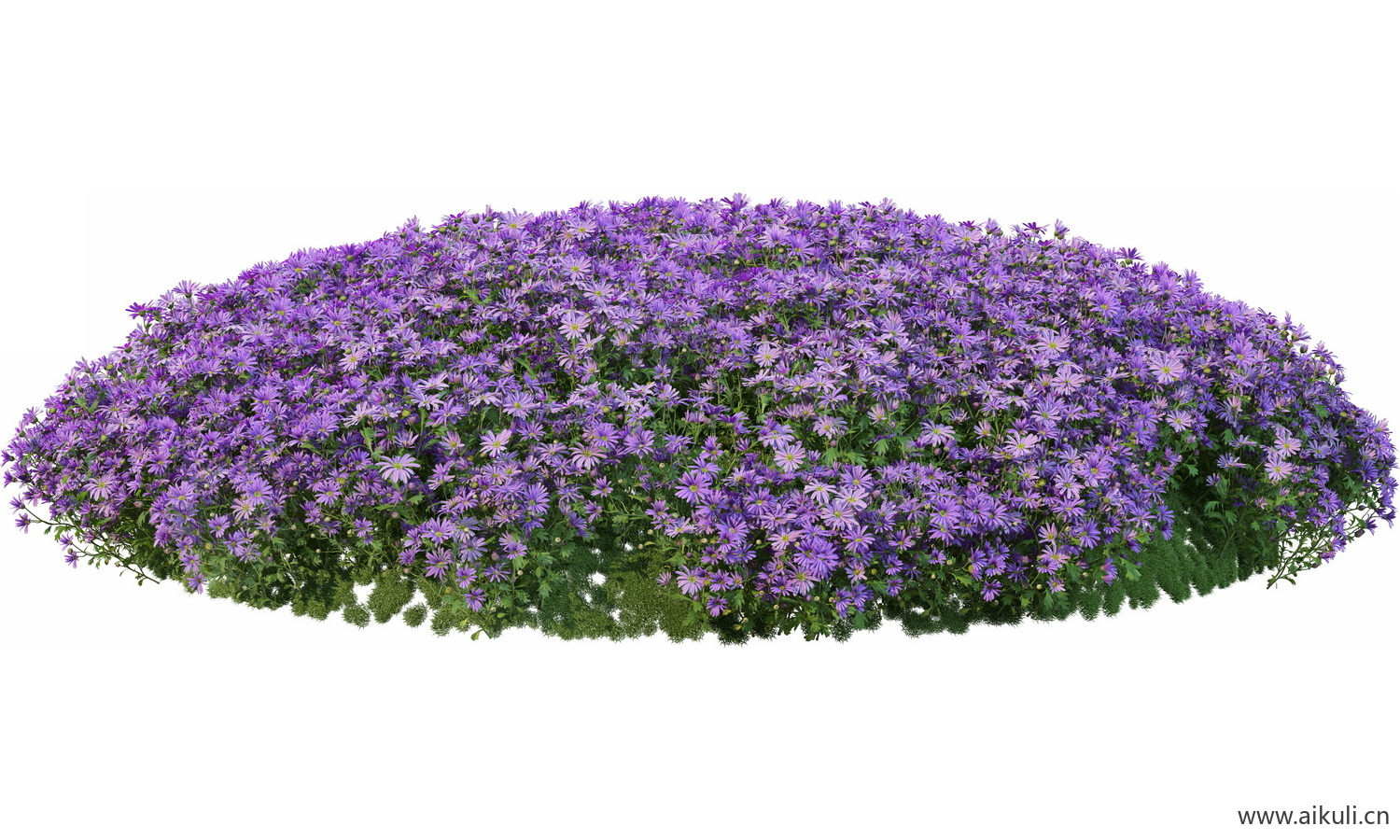 圆形花池魔纹花坛绿篱花境镜植物花卉png免抠_14