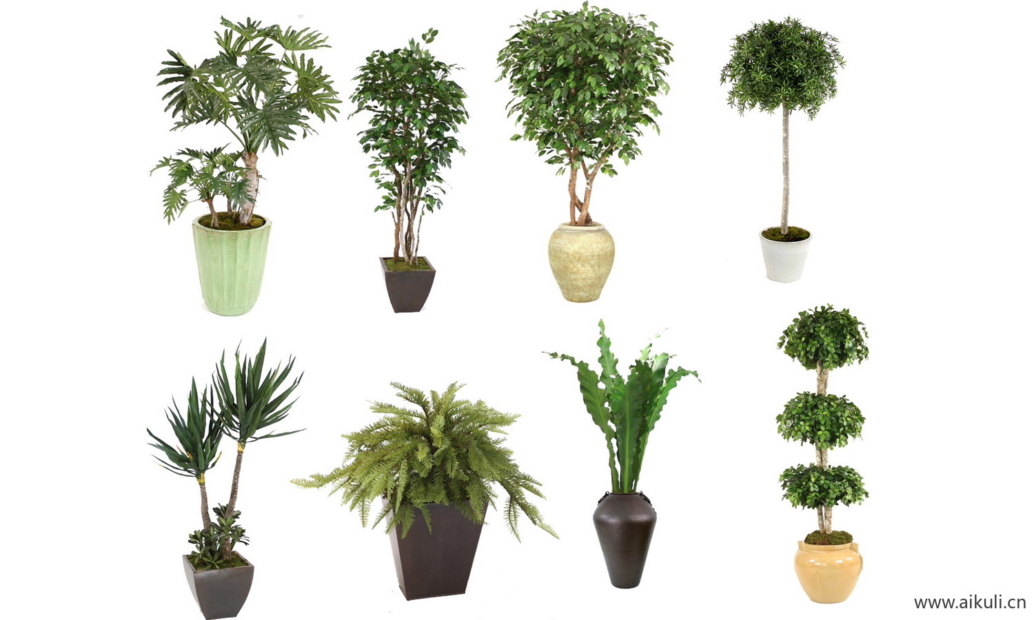 现代盆栽绿植花盆植物组合摆件psD素材