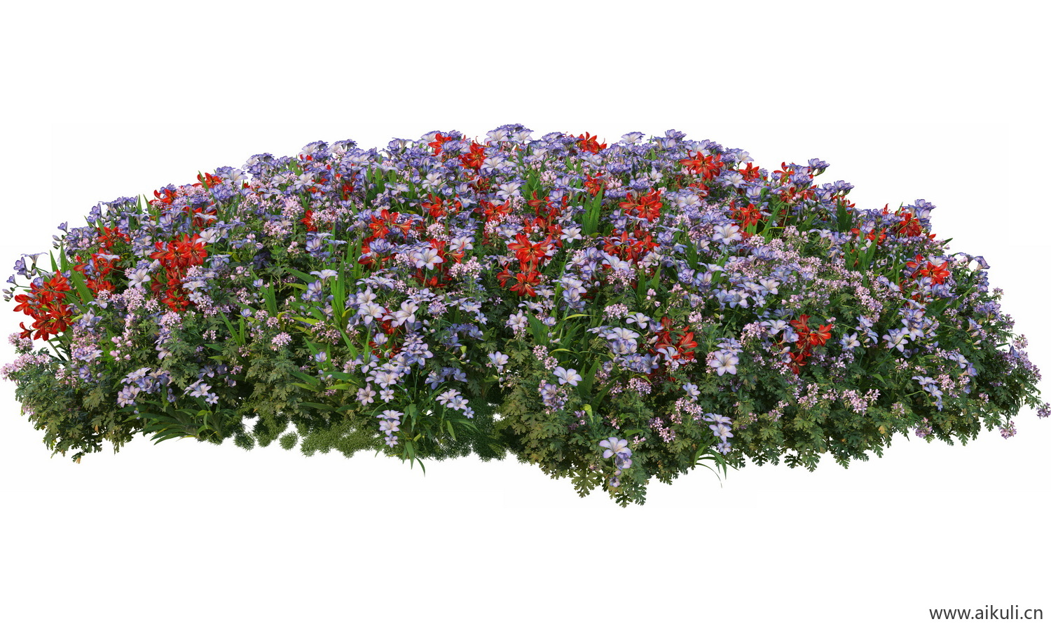 圆形花池魔纹花坛绿篱花境镜植物花卉png免抠_05