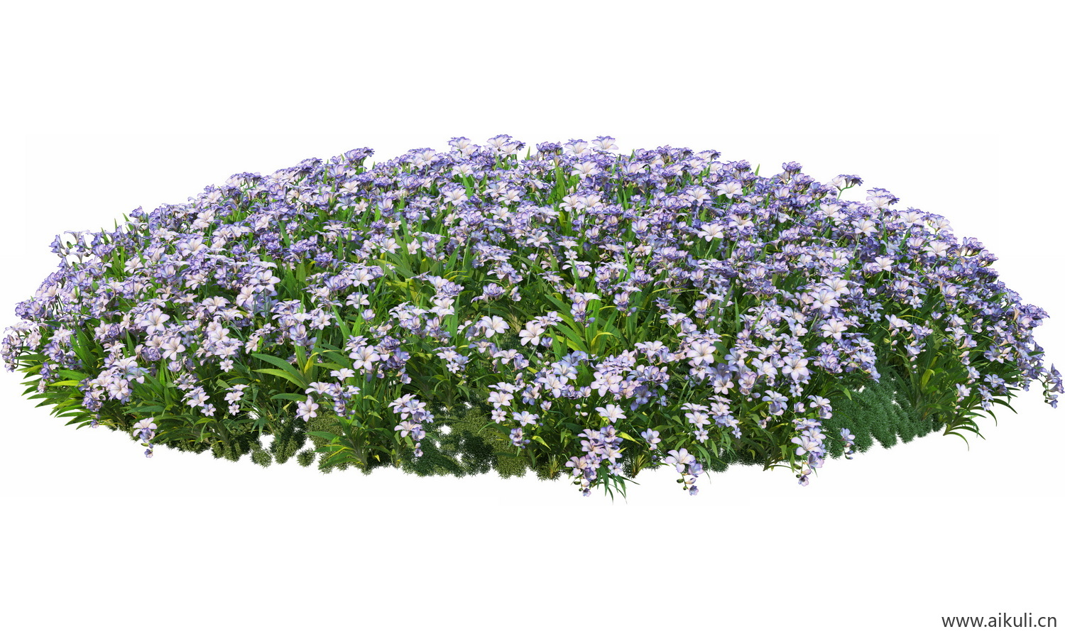 圆形花池魔纹花坛绿篱花境镜植物花卉png免抠_16