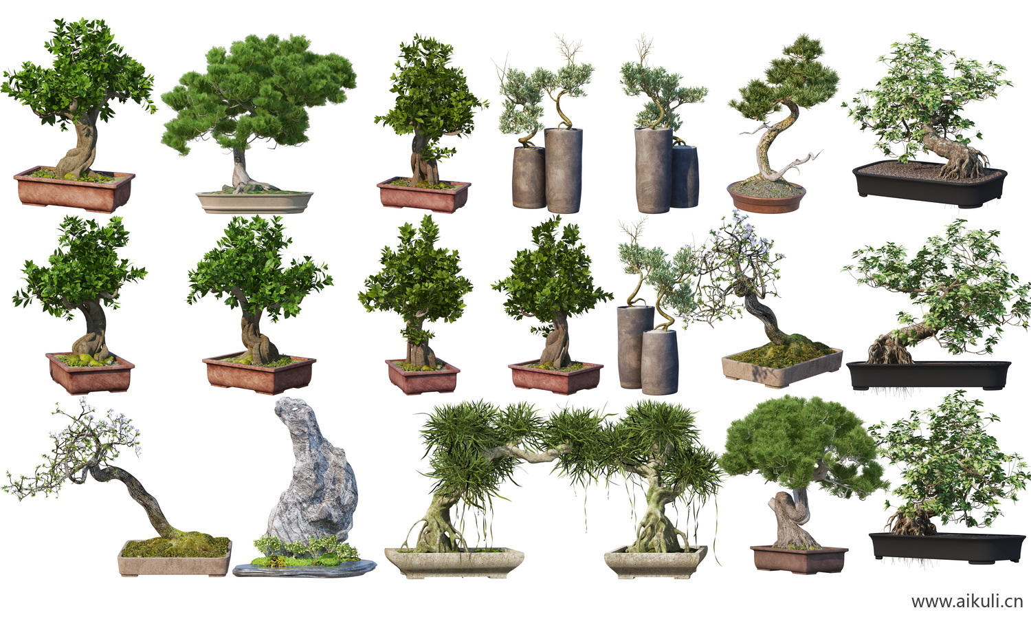 盆景造型植物盆栽摆件黑松罗汉松崖柏桩PSD免扣