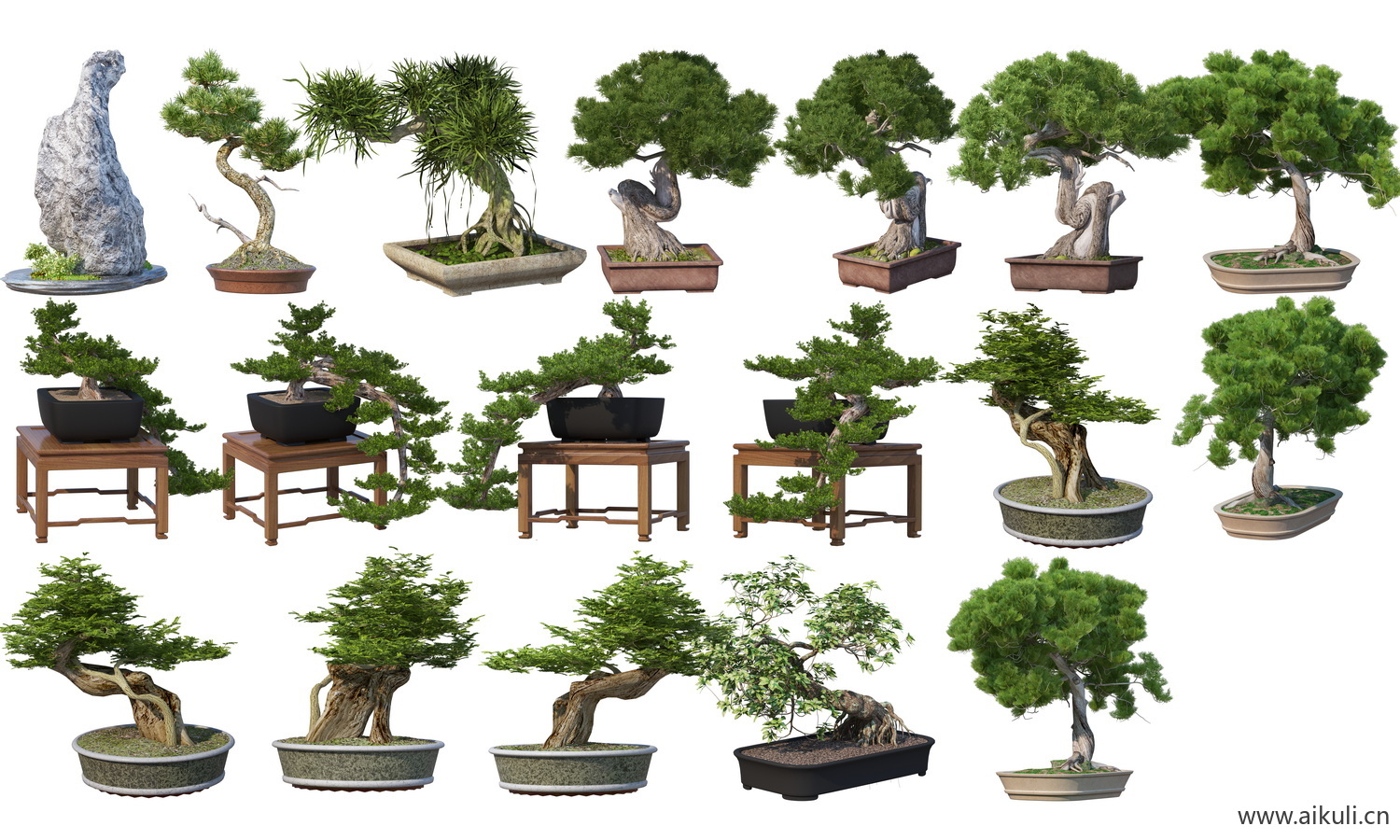 盆景造型植物院子盆栽摆件黑松罗汉松崖柏桩PSD免扣