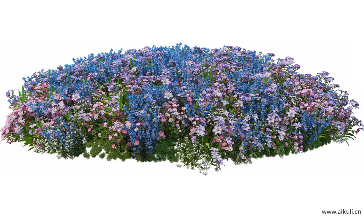 圆形花池魔纹花坛绿篱花境镜植物花卉png免抠_04