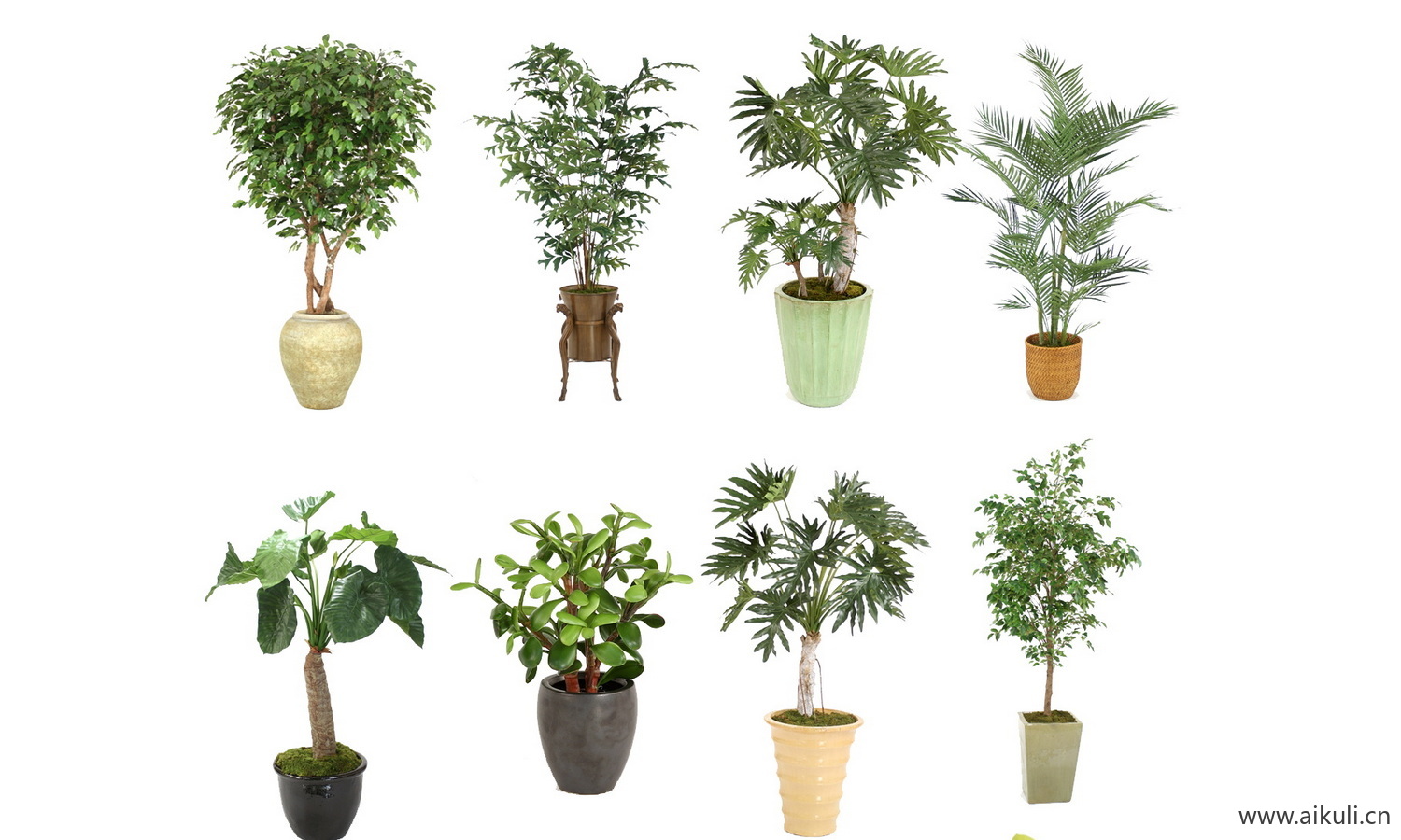 现代室内盆栽绿植花盆植物组合ps素材
