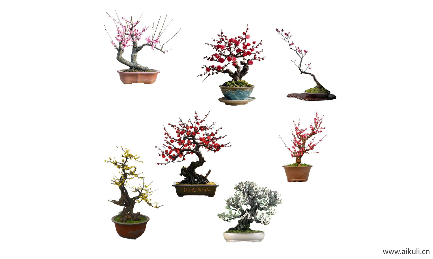 花盆造型-植物摆件PSD免扣