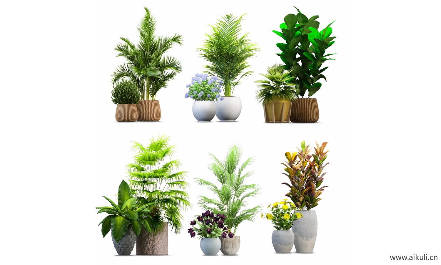 室内盆栽绿植花盆植物组合摆件免抠ps