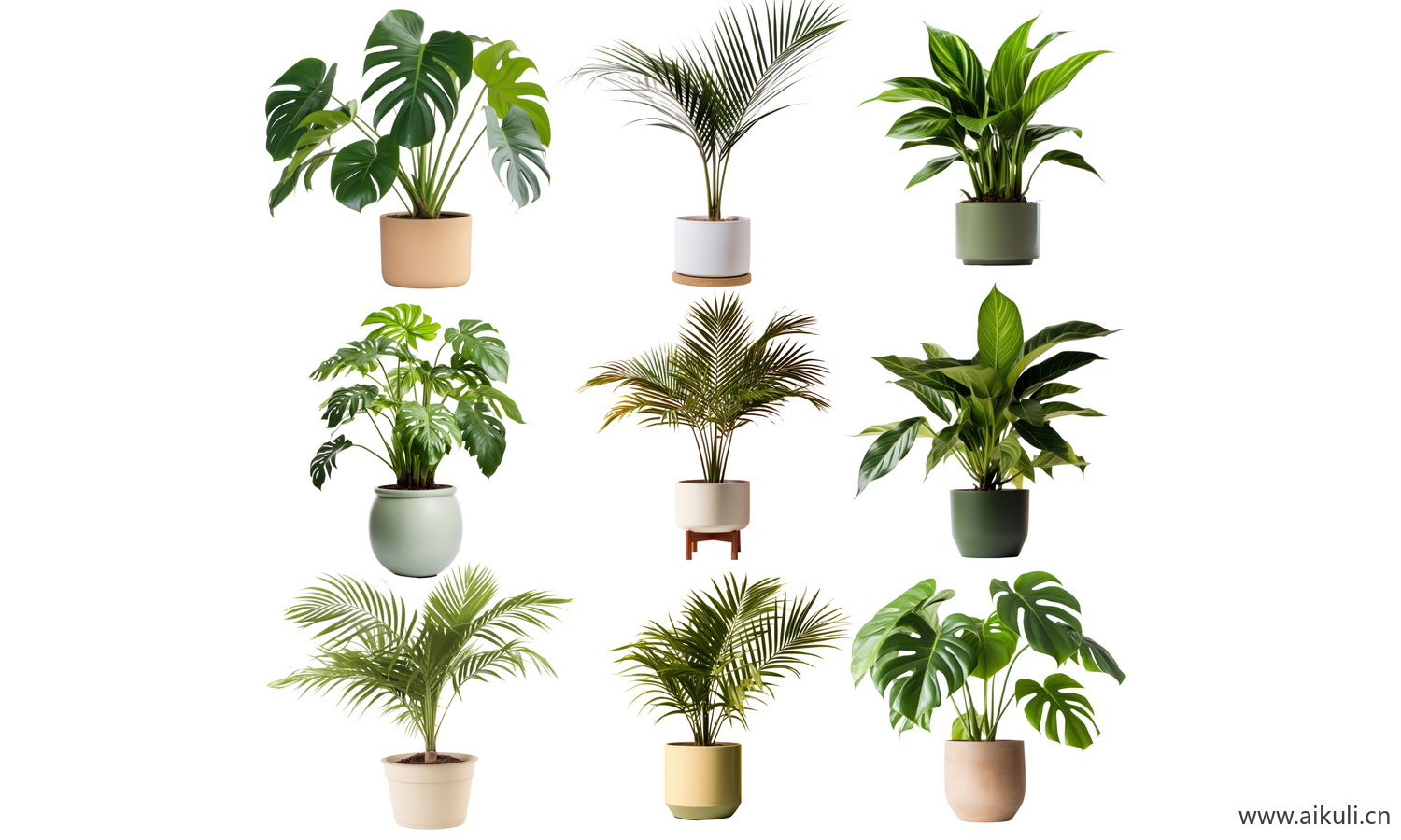 现代室内盆栽绿植摆件_植物-盆栽PSD免抠