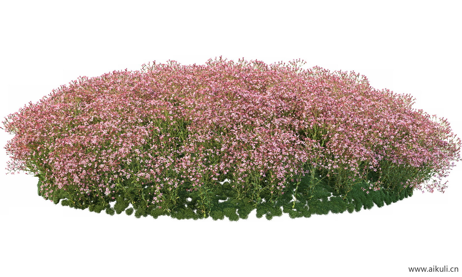 圆形花池魔纹花坛绿篱花境镜植物花卉png免抠_09