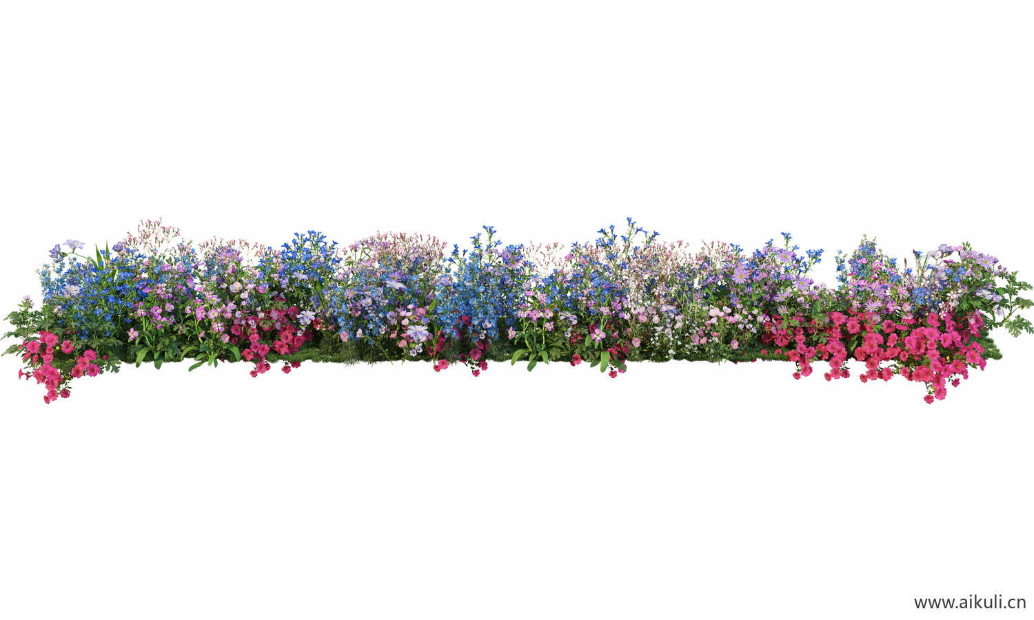 一字条形形花池魔纹花坛绿篱花境镜植物花卉png免抠_14