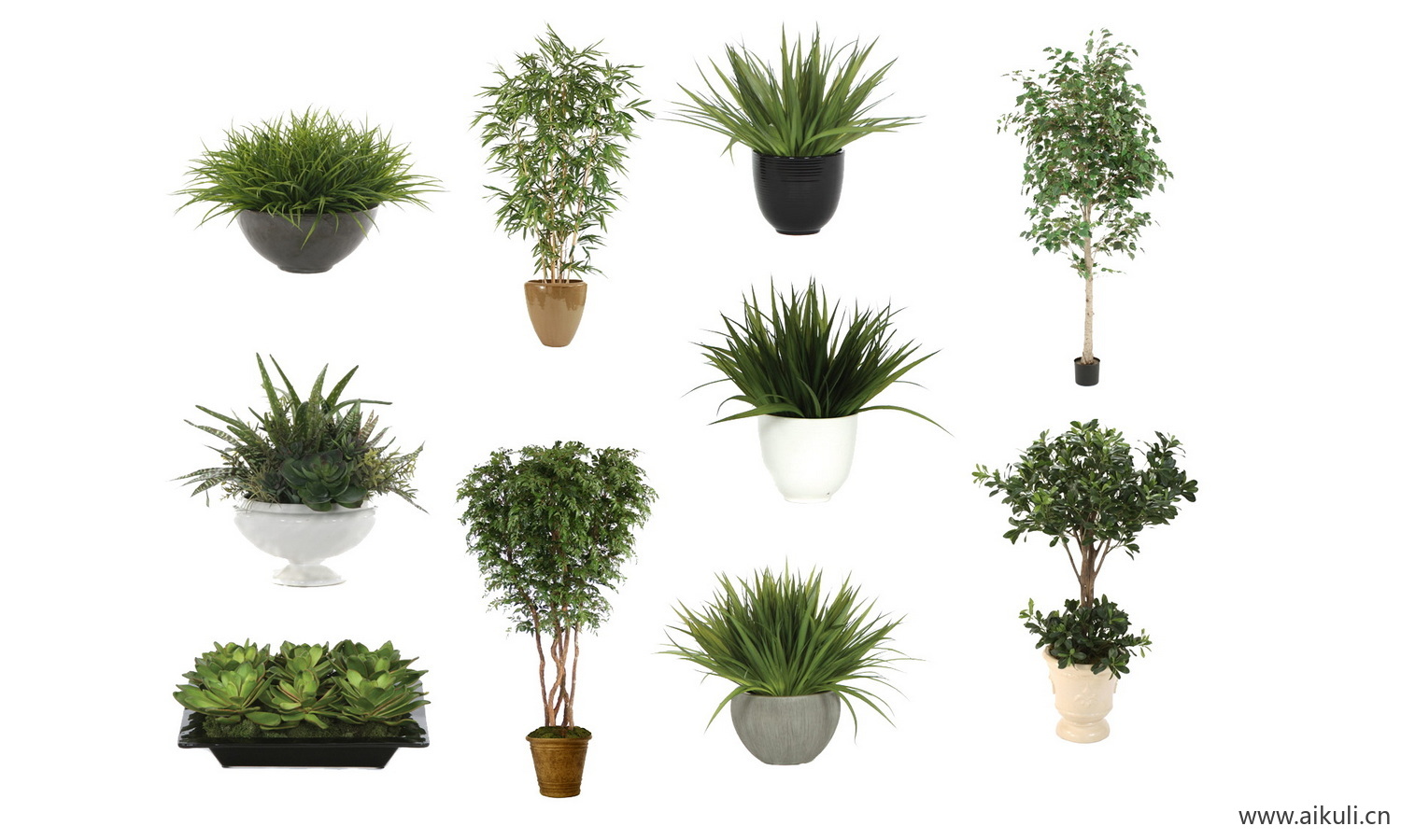 现代盆栽绿植花盆植物组合摆件免抠ps素材