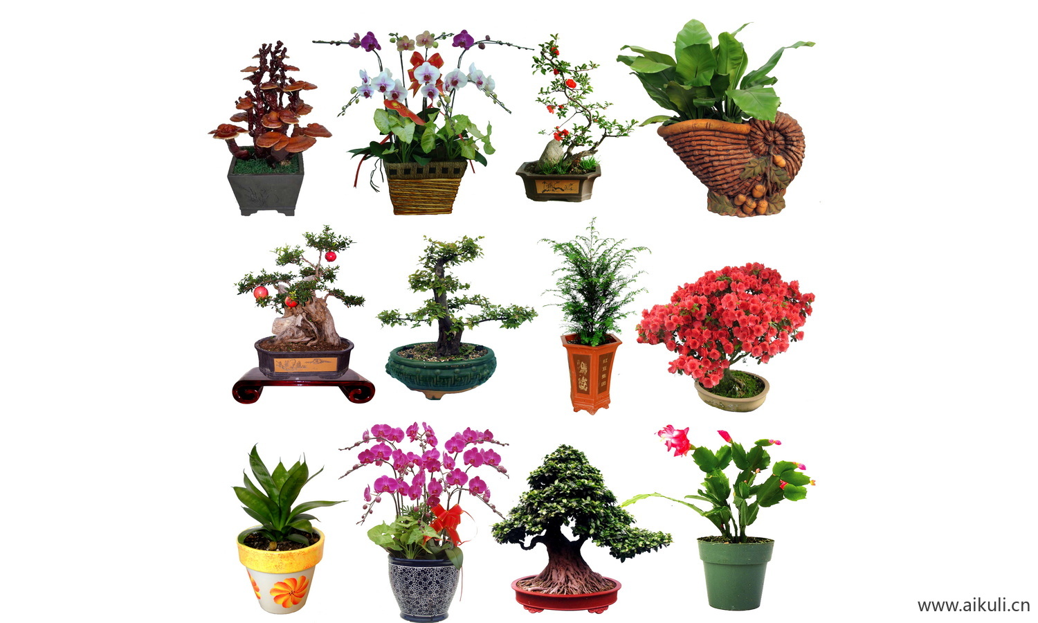 现代花盆造型植物摆件PSD免扣